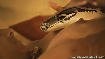 Sacred Snake Serpent Rising Milf: A Naked Dancer'S Erotic Strip And Dance