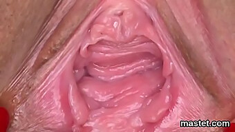 Vagina Yang Ketat Ditarik Dengan Dildo Dalam Adegan Close-Up Yang Ekstrem