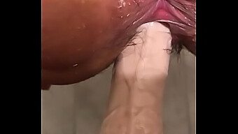 Wet And Wild: Pussy Fucking With Dildo