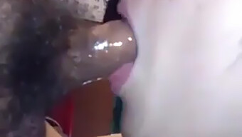 Amateur Asian Swallows Cum In This Video