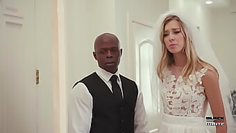 Le Sexe Brutal Interracial De Haley Reed Avec Double Pénétration